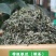 精品茶叶银丝及特级绿茶货源充足量大从优质量保证欢迎咨询