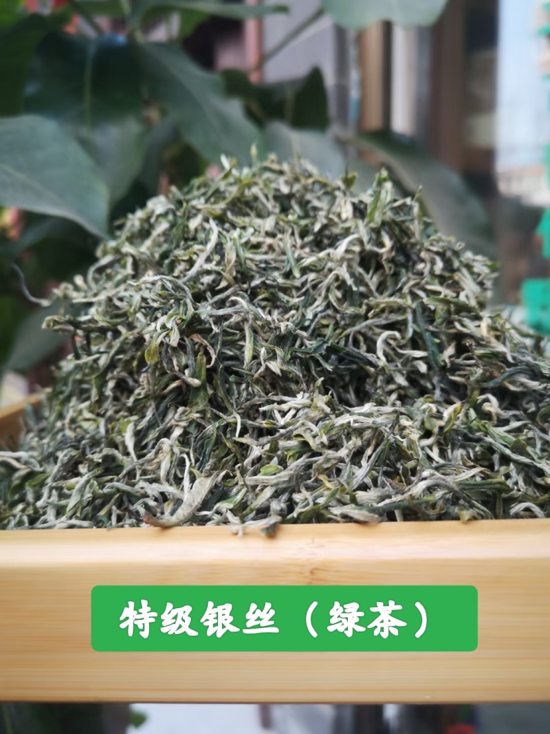 精品茶叶银丝及特级绿茶货源充足量大从优质量保证欢迎咨询