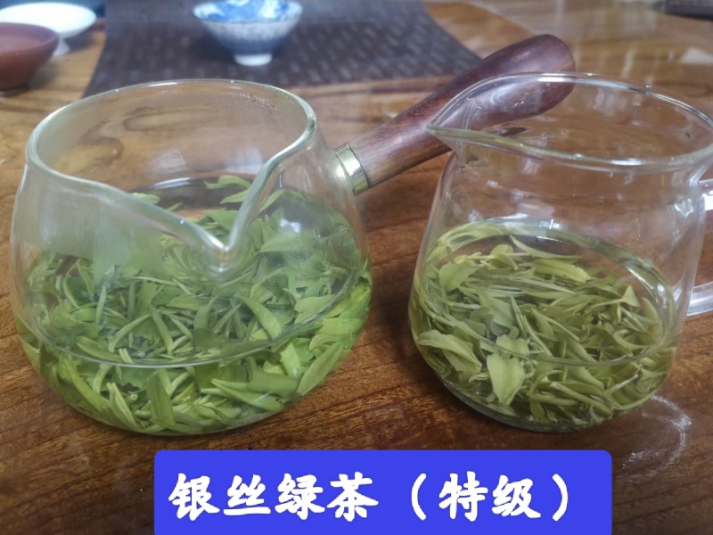 精品茶叶银丝及特级绿茶货源充足量大从优质量保证欢迎咨询