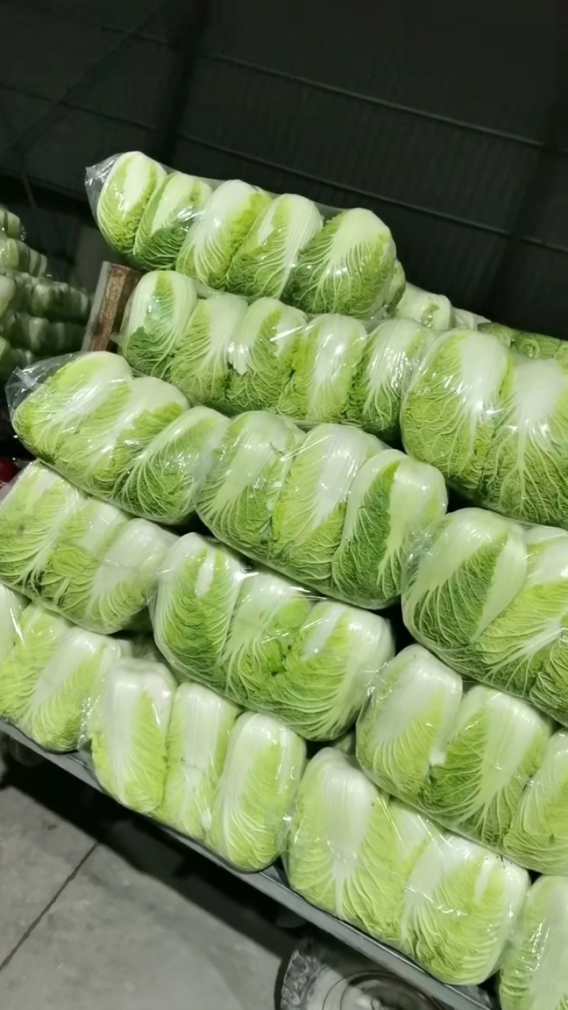 本地黄心白菜大量上市，产地直发，优质白菜，欢迎来电洽谈
