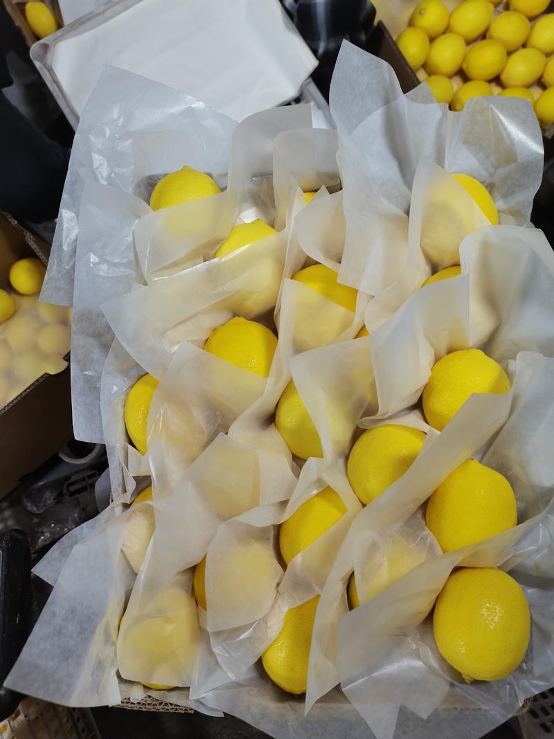 四川安岳优力克黄柠檬一手货源产地直发，皮薄多汁无苦涩味