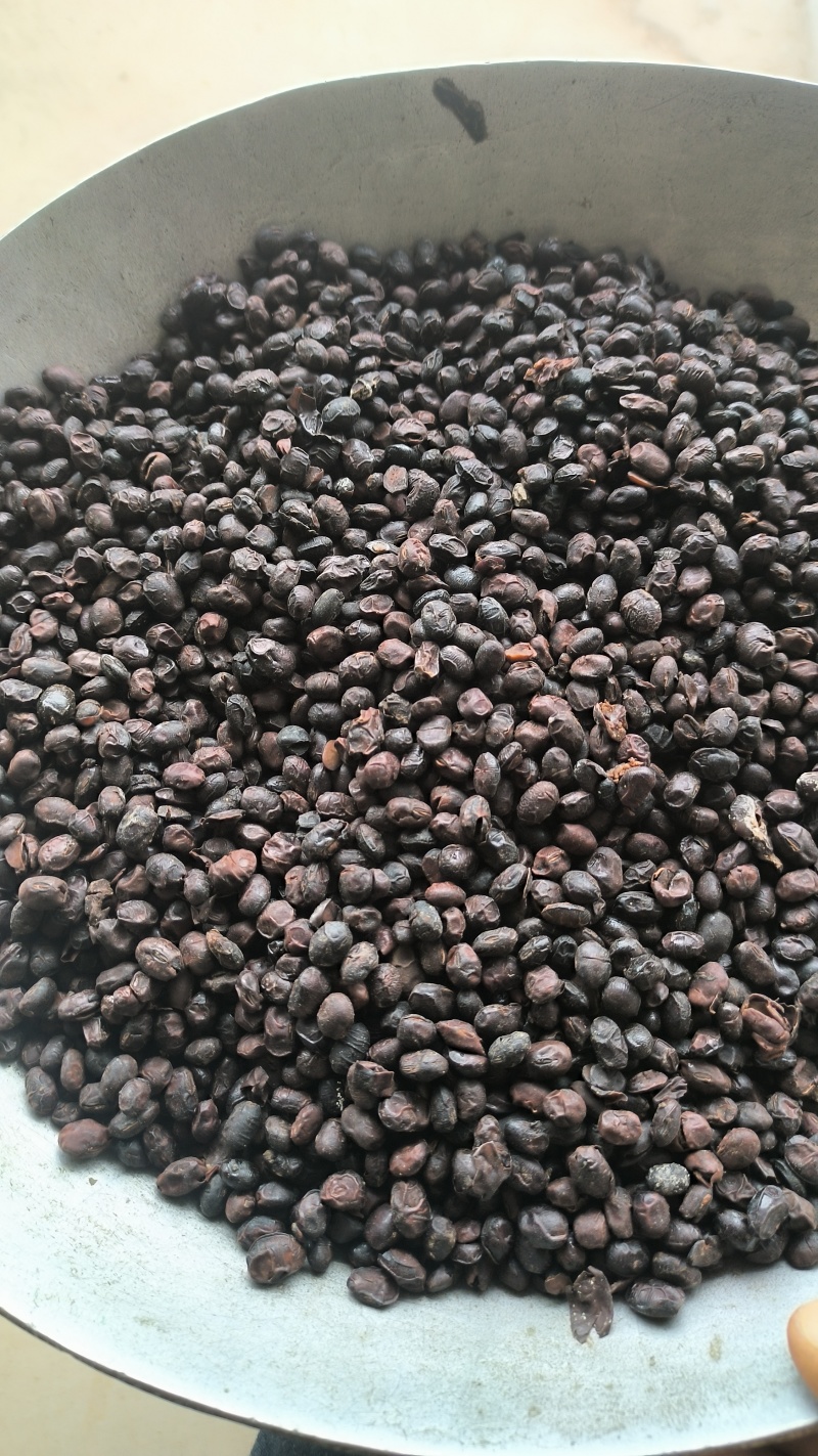 豆豉淡豆豉中药材批发淡豆豉质量保证量大从优