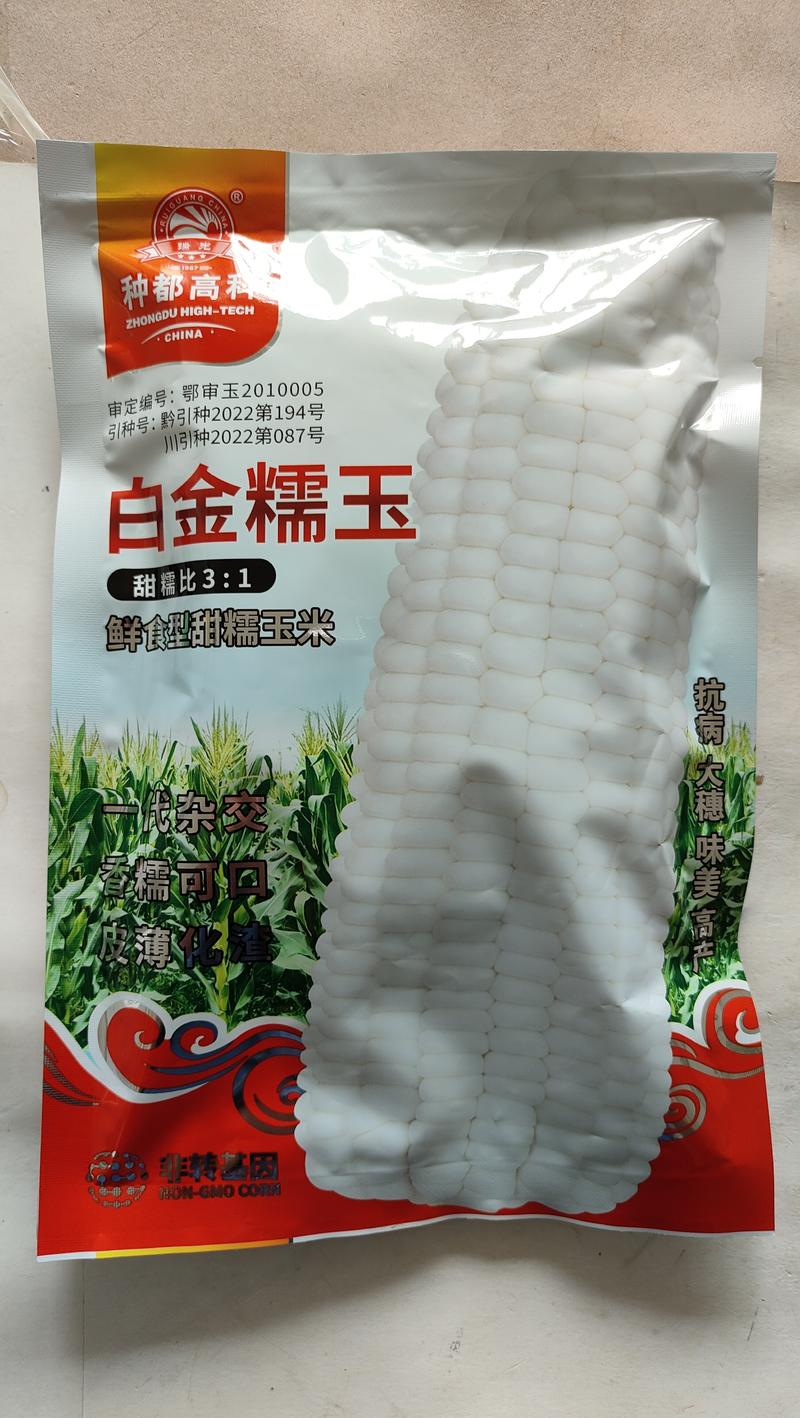 白金糯玉米种子甜加糯口感好适合春秋栽培杂交白色玉米