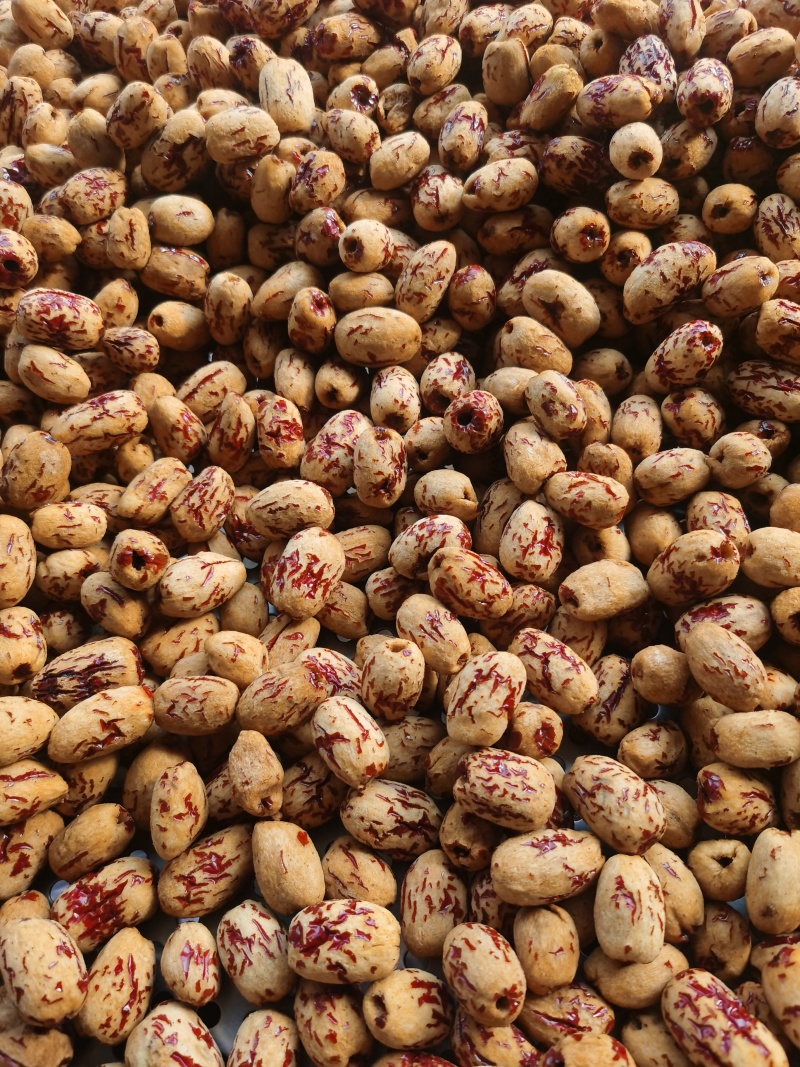 去核去皮枣虎皮枣
