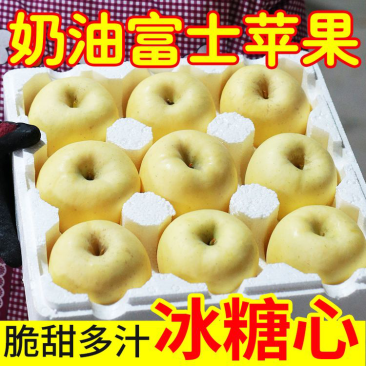 烟台奶油富士苹果一件代发