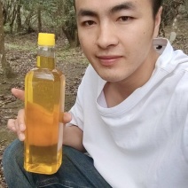 老树小茶籽山茶油