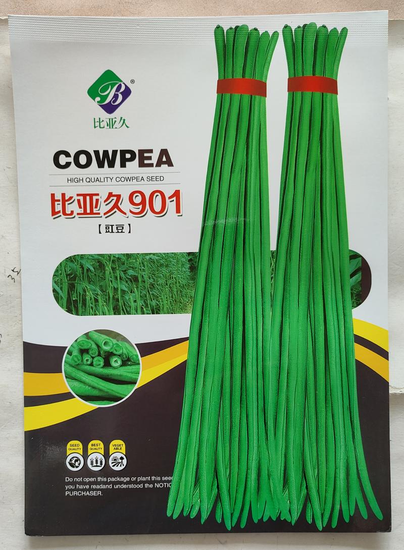 901长豇豆种子豆角种子适合春秋栽培耐热能力强