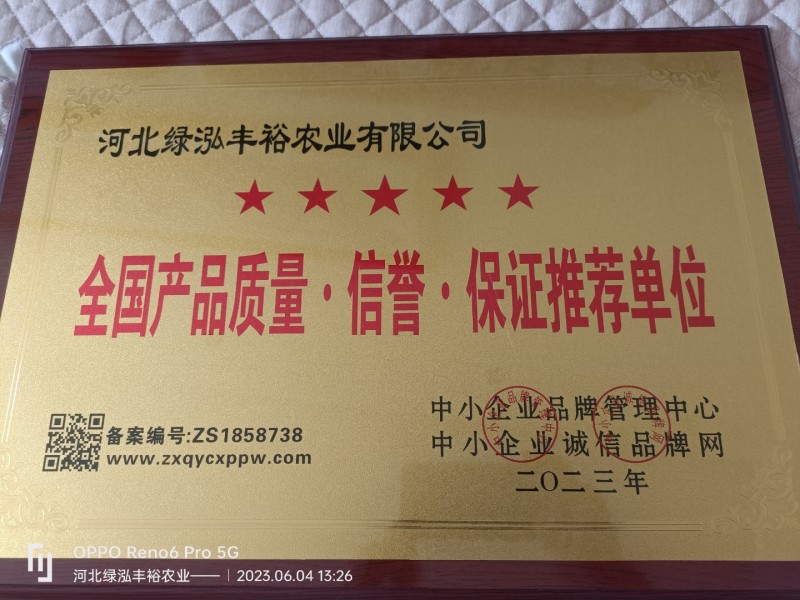 紫薯苗，哈密苗，板栗薯苗，红瑶苗，榴莲蜜薯苗，密薯苗——
