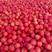 红富士苹果个头大颜色红，口感脆甜价格便宜保证质量货源充足
