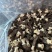 （新货）头茬羊肚菌、各种规格齐全、一手货源量大从优！