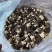 （新货）头茬羊肚菌、各种规格齐全、一手货源量大从优！