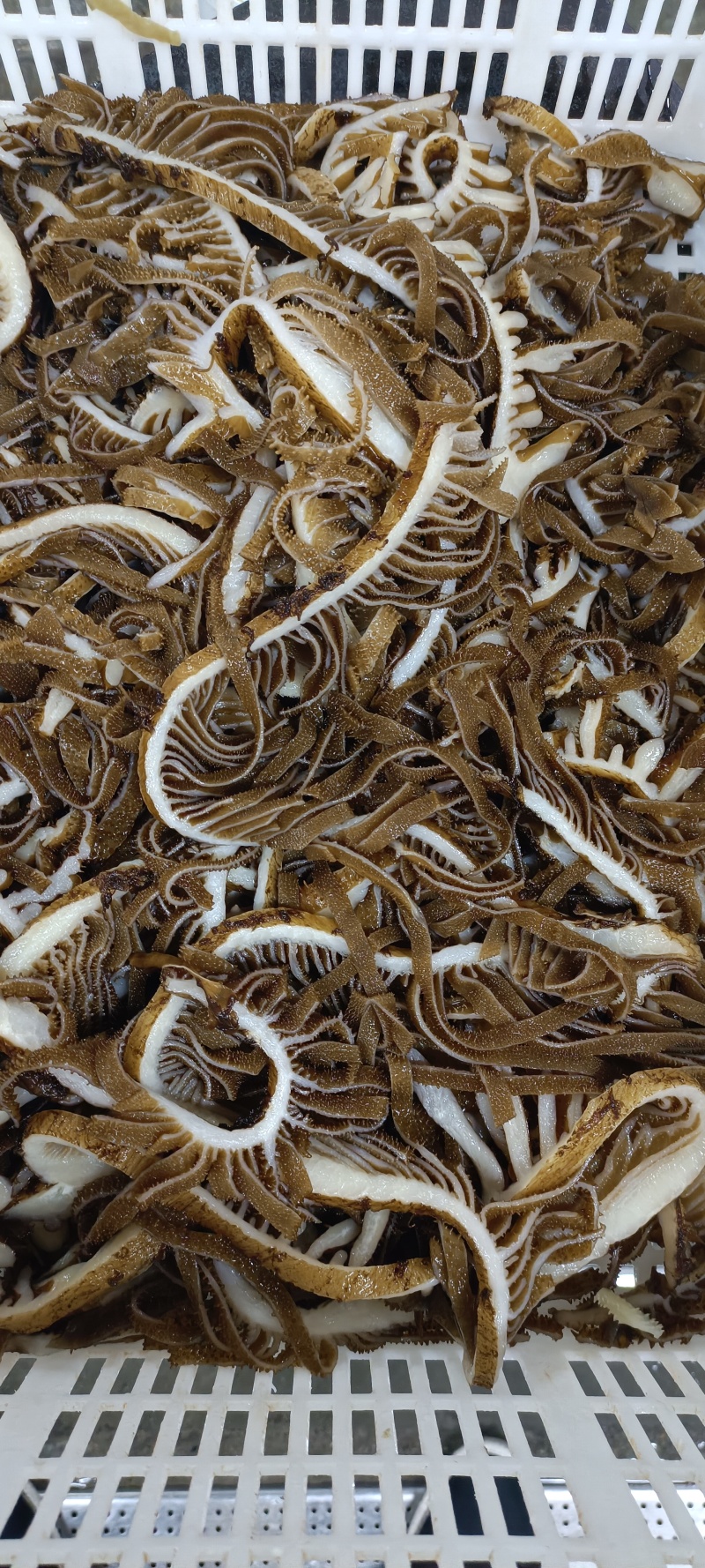 茶千层自助火锅冒菜烫涮爆品，品质如图可定装规格