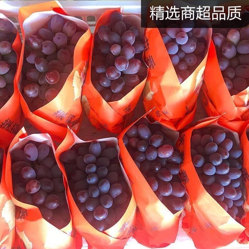 茉莉香葡萄3月末开始大量上市！欢迎全国客商合作共赢