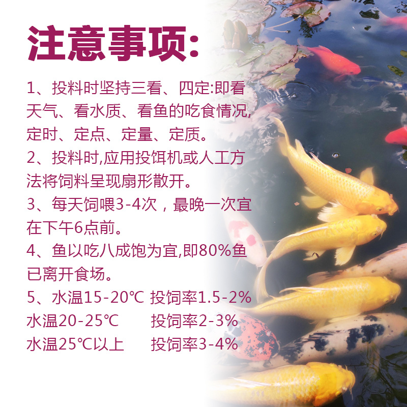 湖南鱼饲料斑点叉尾鮰长肉快耐运输厂家批发80斤一包
