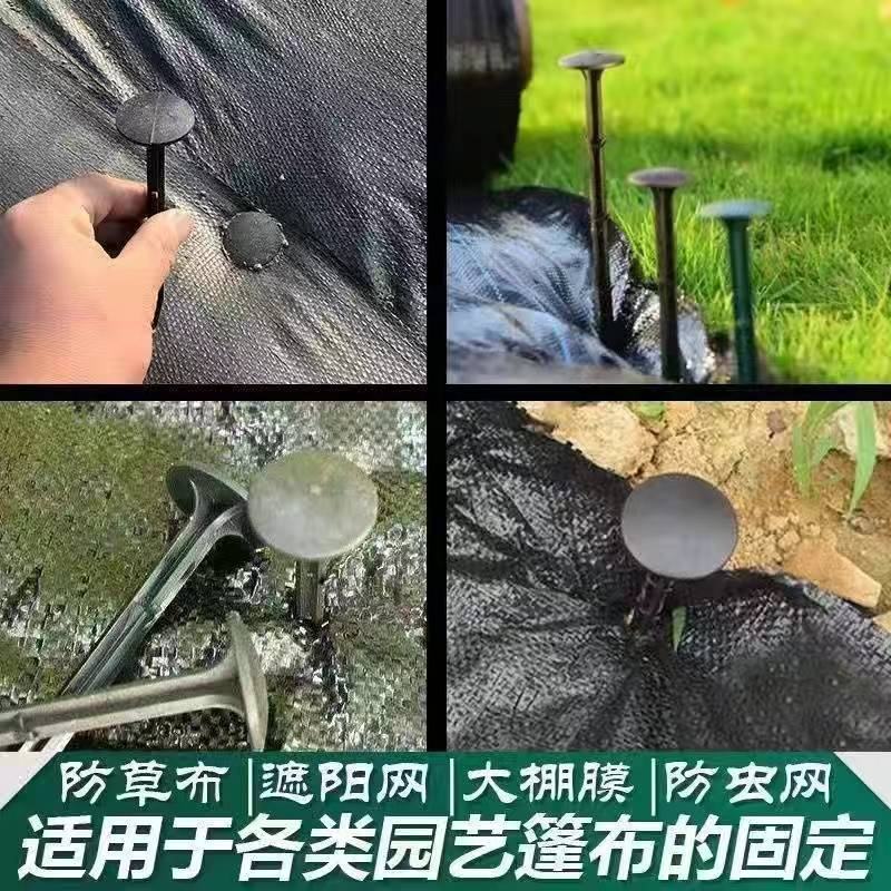防草布地钉，长度，11公分，16公分20公分用于固定地布
