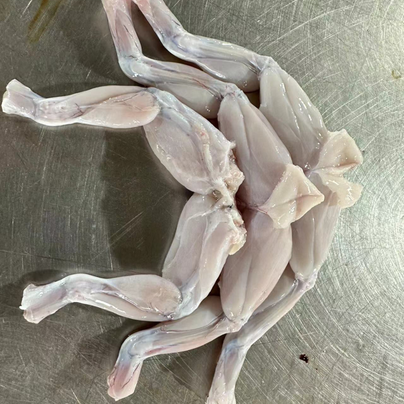 鲜活加工后腿、新鲜速冻