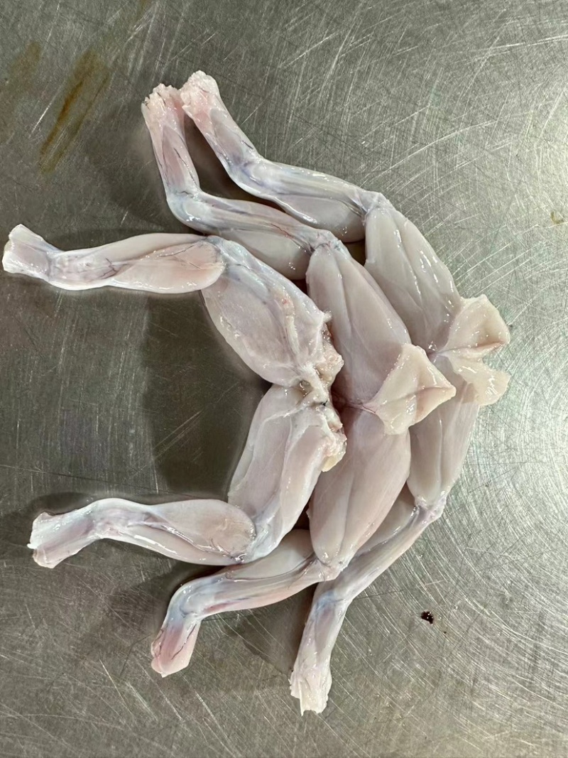 鲜活加工后腿、新鲜速冻