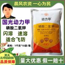 国光动力甲飞防磷酸二氢钾速溶花卉果树小麦蔬菜通用型农用叶