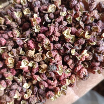 陕西富平花椒，精品大红袍花椒，当季新货，品质保障欢迎订购