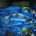 微生物菌剂