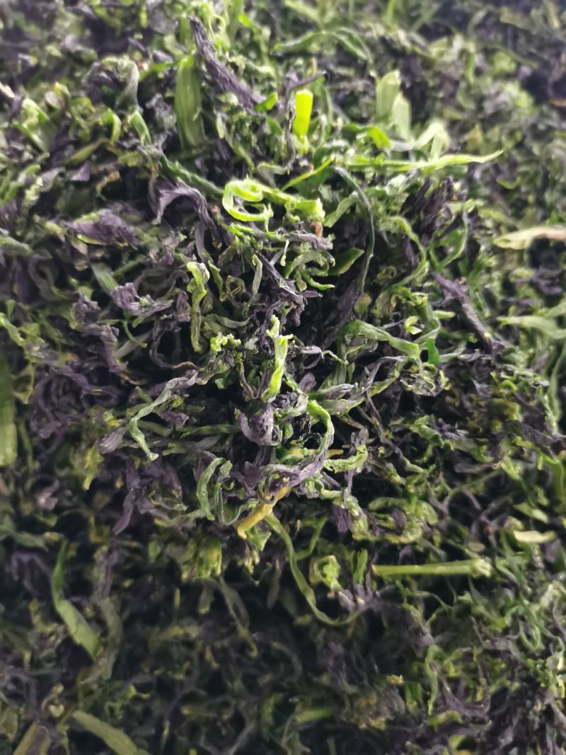 脱水蔬菜万年青