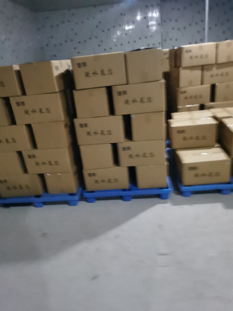 脱水蔬菜万年青