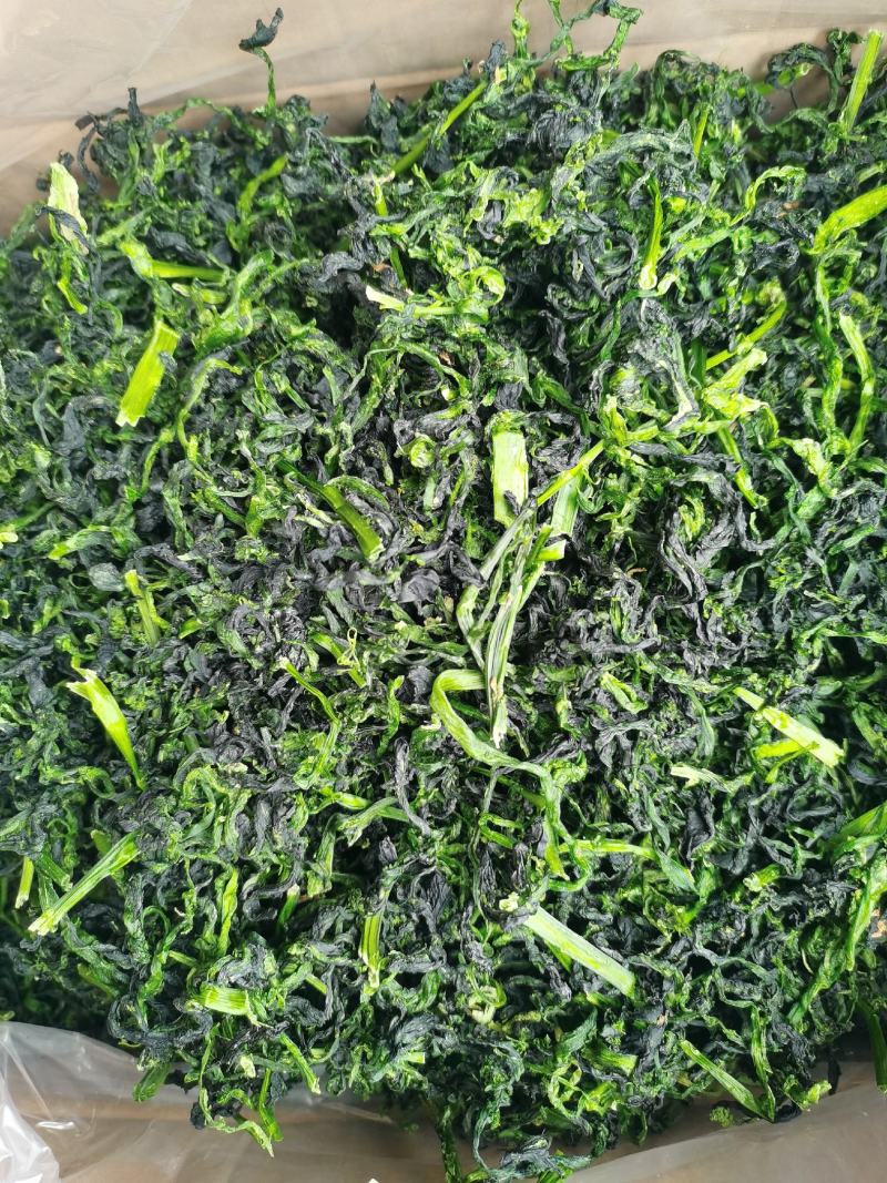 脱水蔬菜万年青