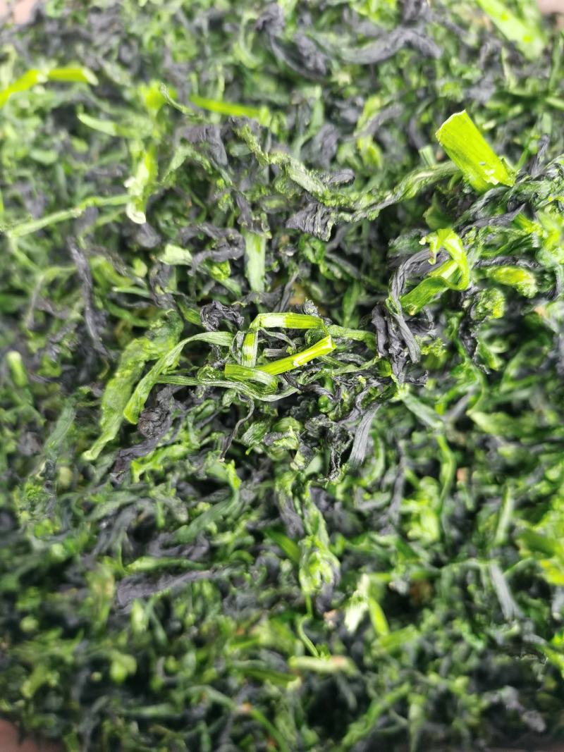 脱水蔬菜万年青