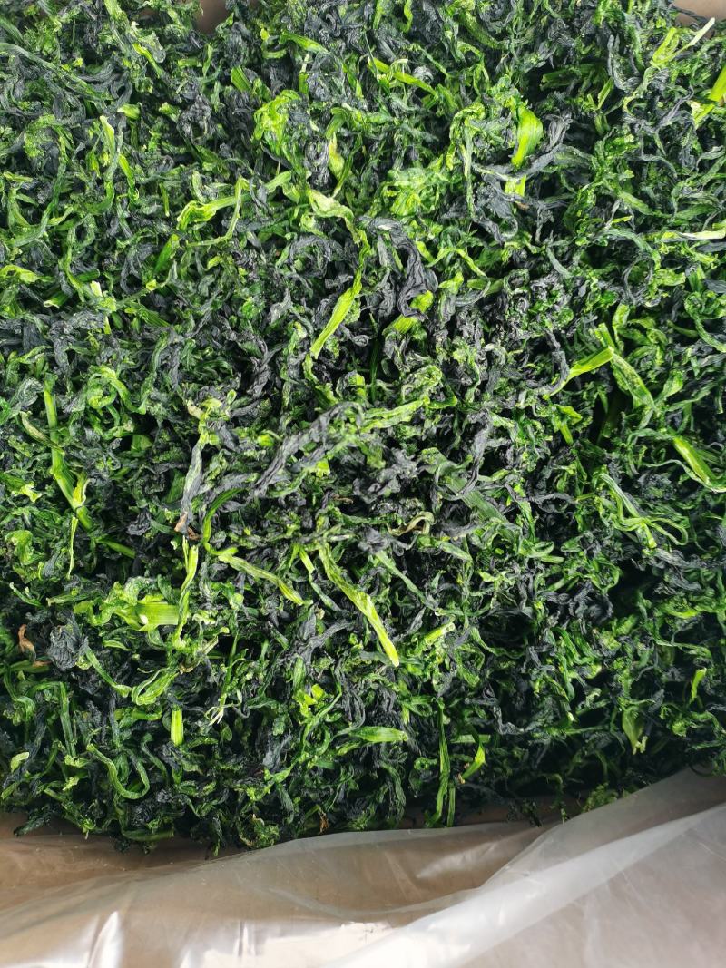脱水蔬菜万年青