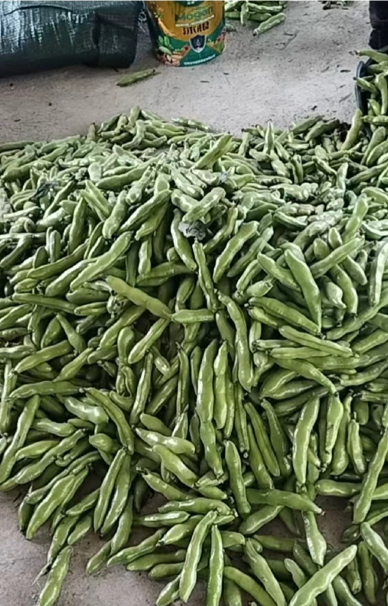 新鲜蚕豆，农家自产，口感鲜美，营养丰富，**特惠！