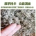 湖北恩施藤茶2024年新茶芽朵茶