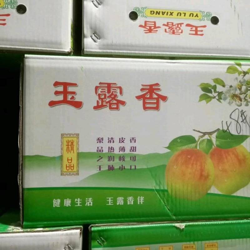 【产地**】玉露香梨河北香梨赵县梨产地供应