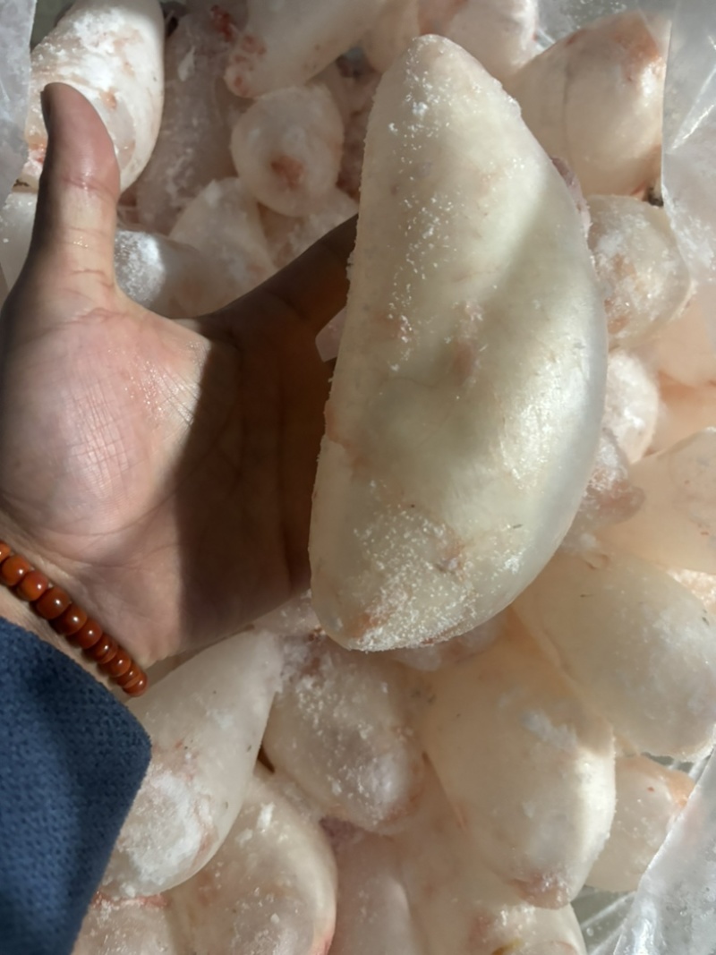 白鲢鱼内泡
