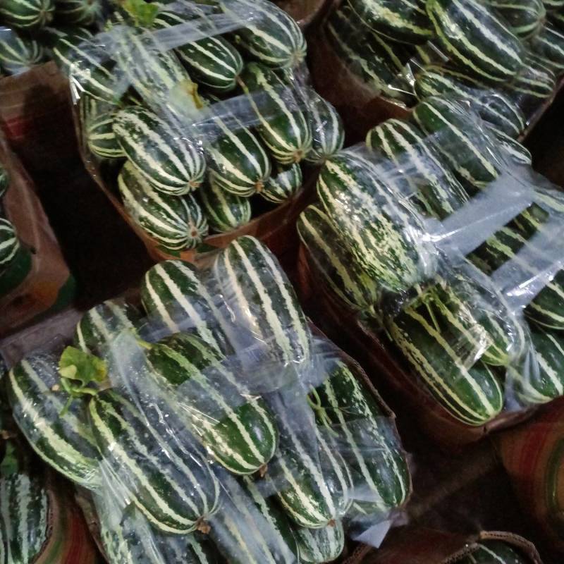 河南省内黄县王保昌果蔬商搏洋九上市