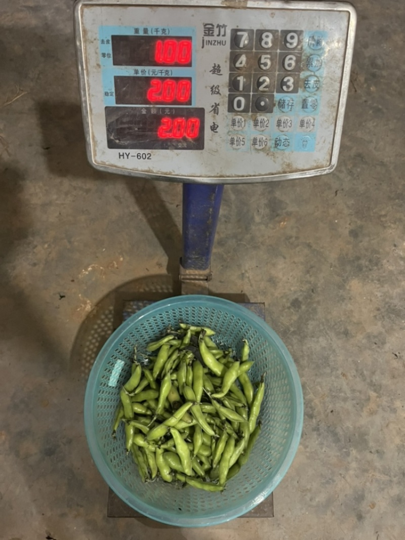 天天有，天天干