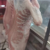 羊肉