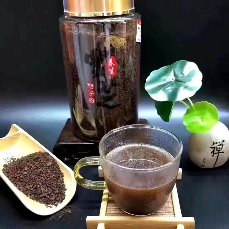 灵芝孢子粉人工扫粉精细筛选无杂质灵芝孢子粉产地灵