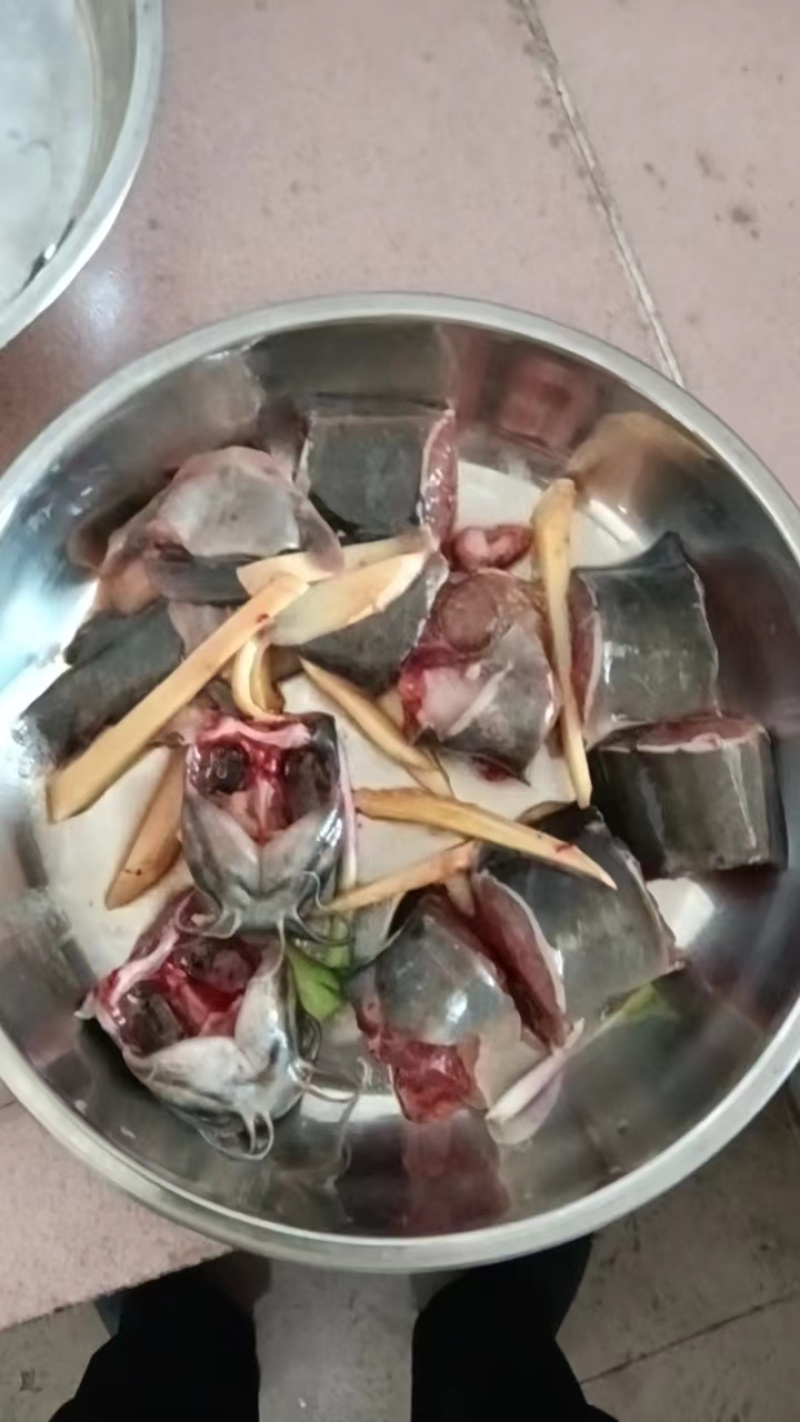 广州从化本地土塘鲺鱼/塘角鱼