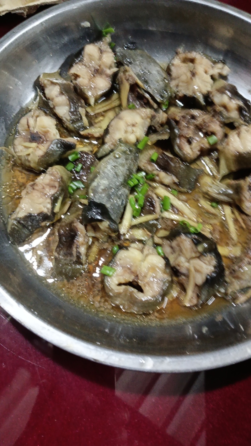 广州从化本地土塘鲺鱼/塘角鱼