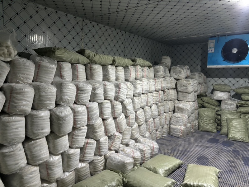 素肠面筋卷切卷