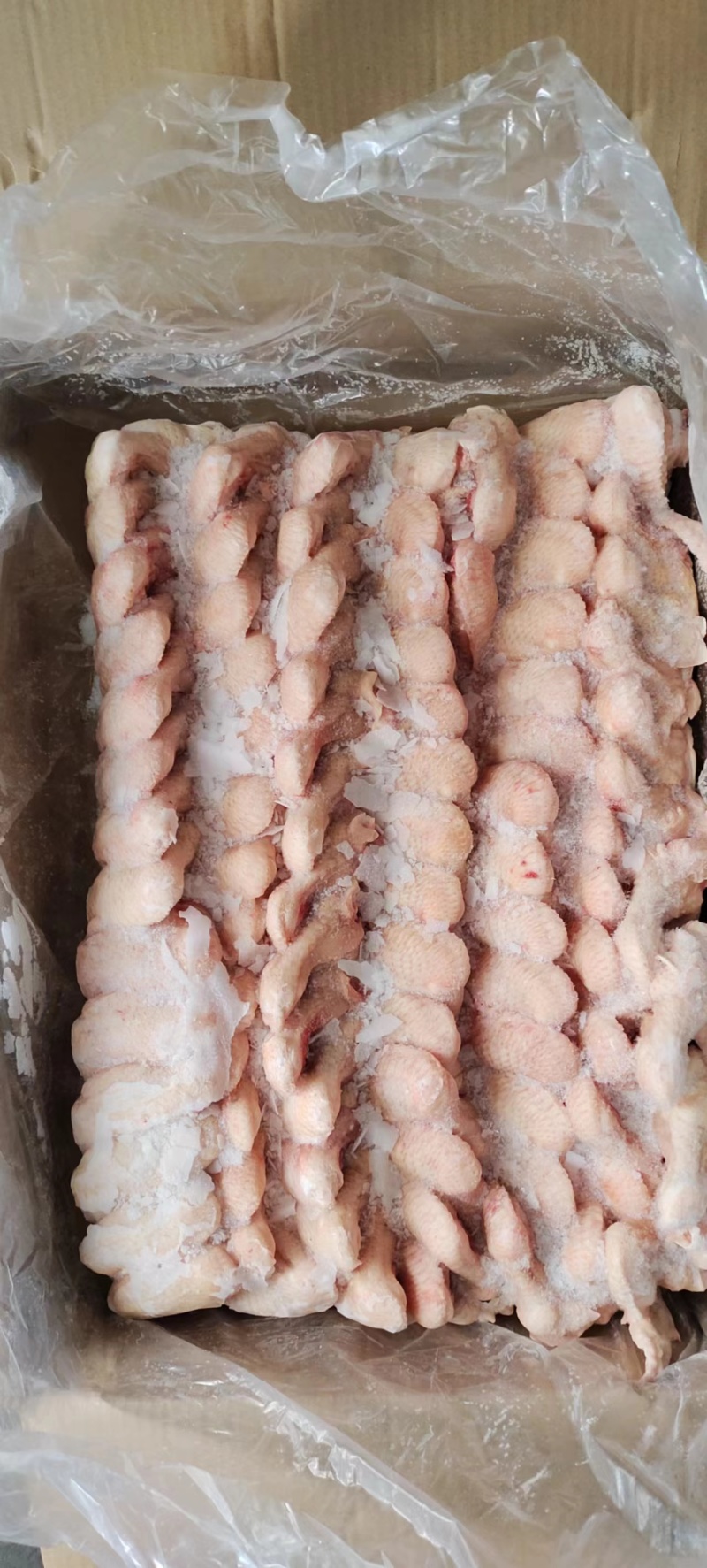 排翅