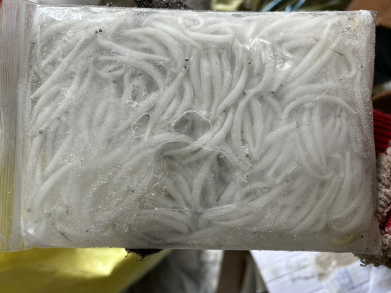 原生态自然生长淡水下号银鱼3-5公分，保质保量保鲜