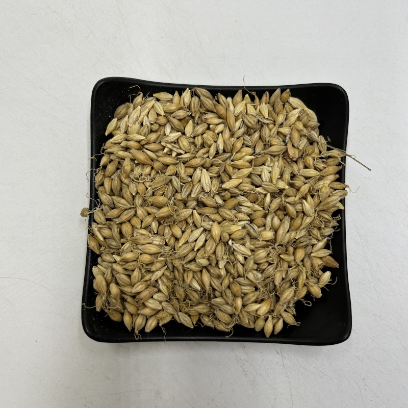 供应麦芽生麦芽散装选货产地直供中药材批发支持拿样品批发各