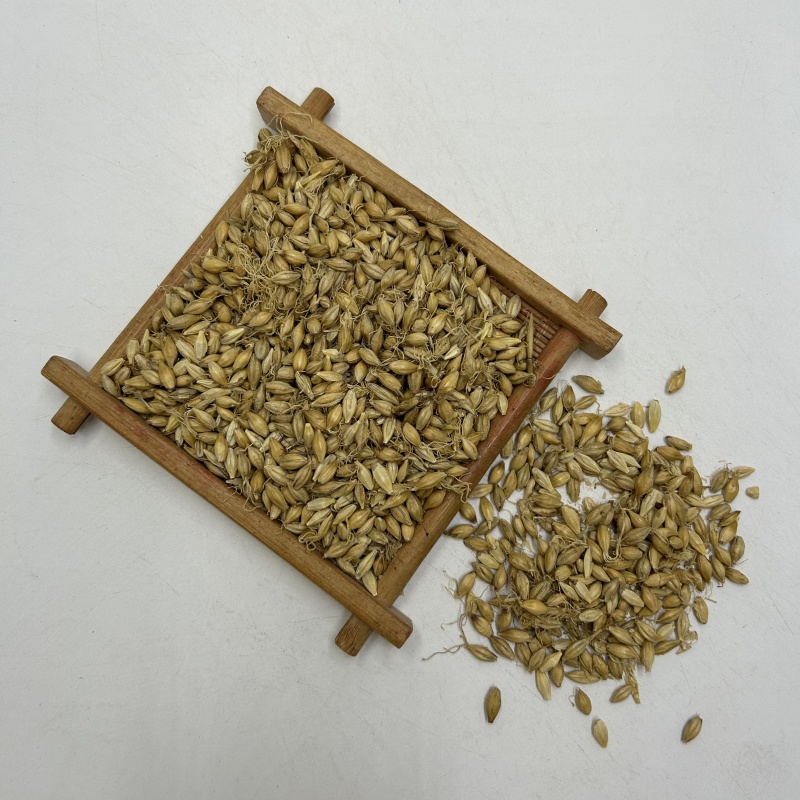 供应麦芽生麦芽散装选货产地直供中药材批发支持拿样品批发各