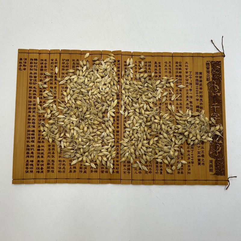 供应麦芽生麦芽散装选货产地直供中药材批发支持拿样品批发各
