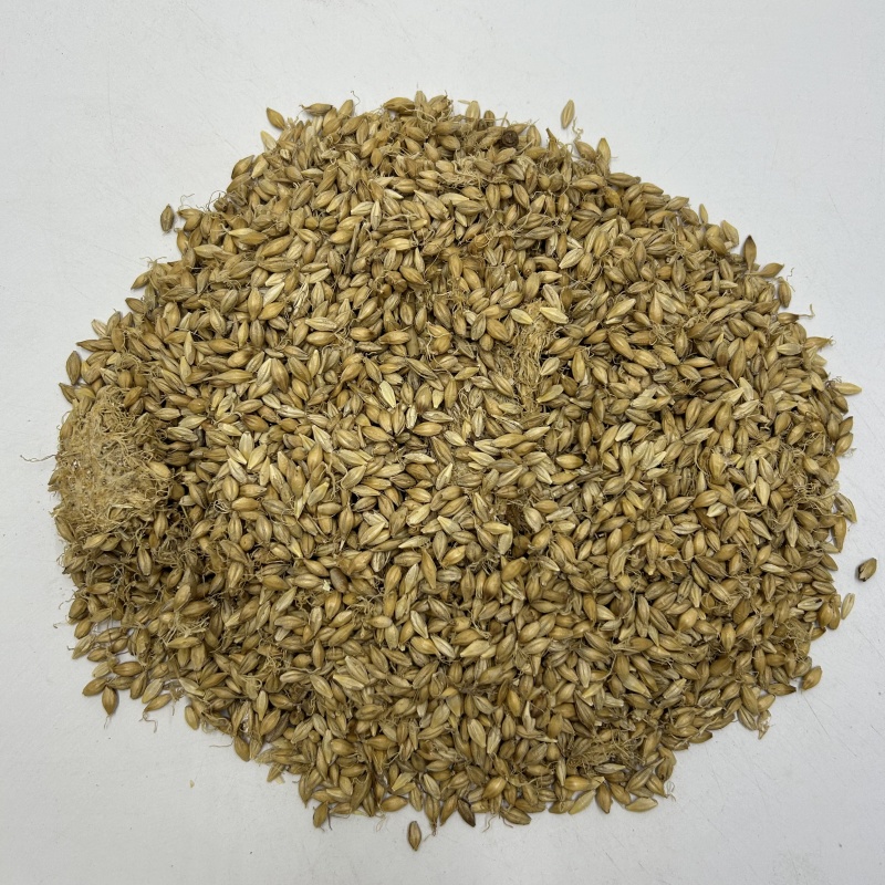 供应麦芽生麦芽散装选货产地直供中药材批发支持拿样品批发各
