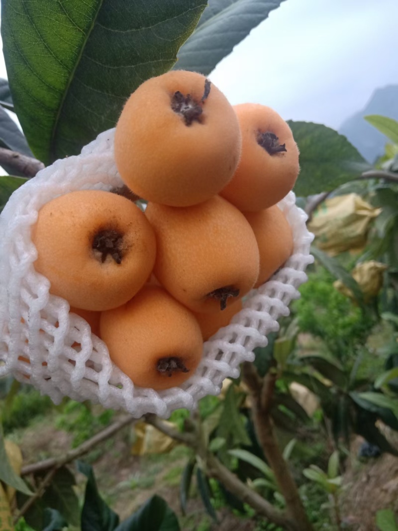 精品