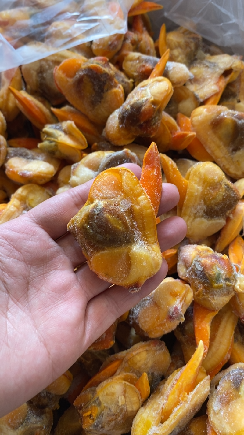 蛤蜊肉文蛤贝类蚬子肉花甲肉嘎啦肉海鲜批发贝类文贝肉大颗粒
