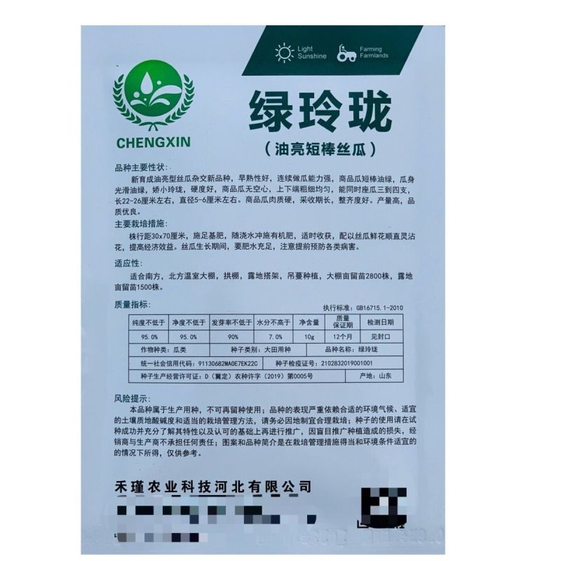 绿玲珑油亮短棒杂交丝瓜种子高产早熟抗病春秋油亮型丝瓜大田