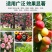 生物有机肥有机菌肥基肥疏松土壤保肥保水